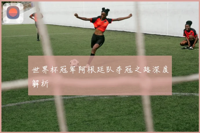 世界杯冠军阿根廷队夺冠之路深度解析