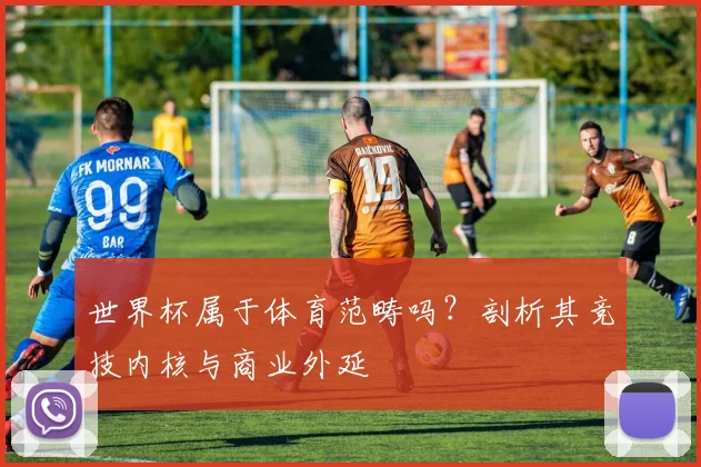 世界杯属于体育范畴吗?剖析其竞技内核与商业外延
