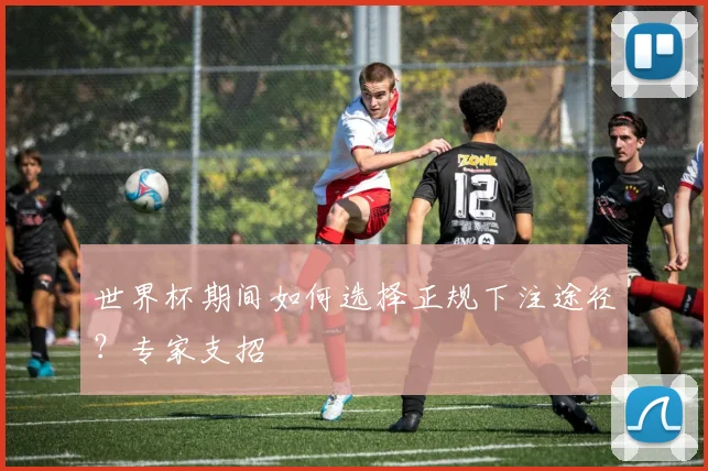 世界杯期间如何选择正规下注途径？专家支招